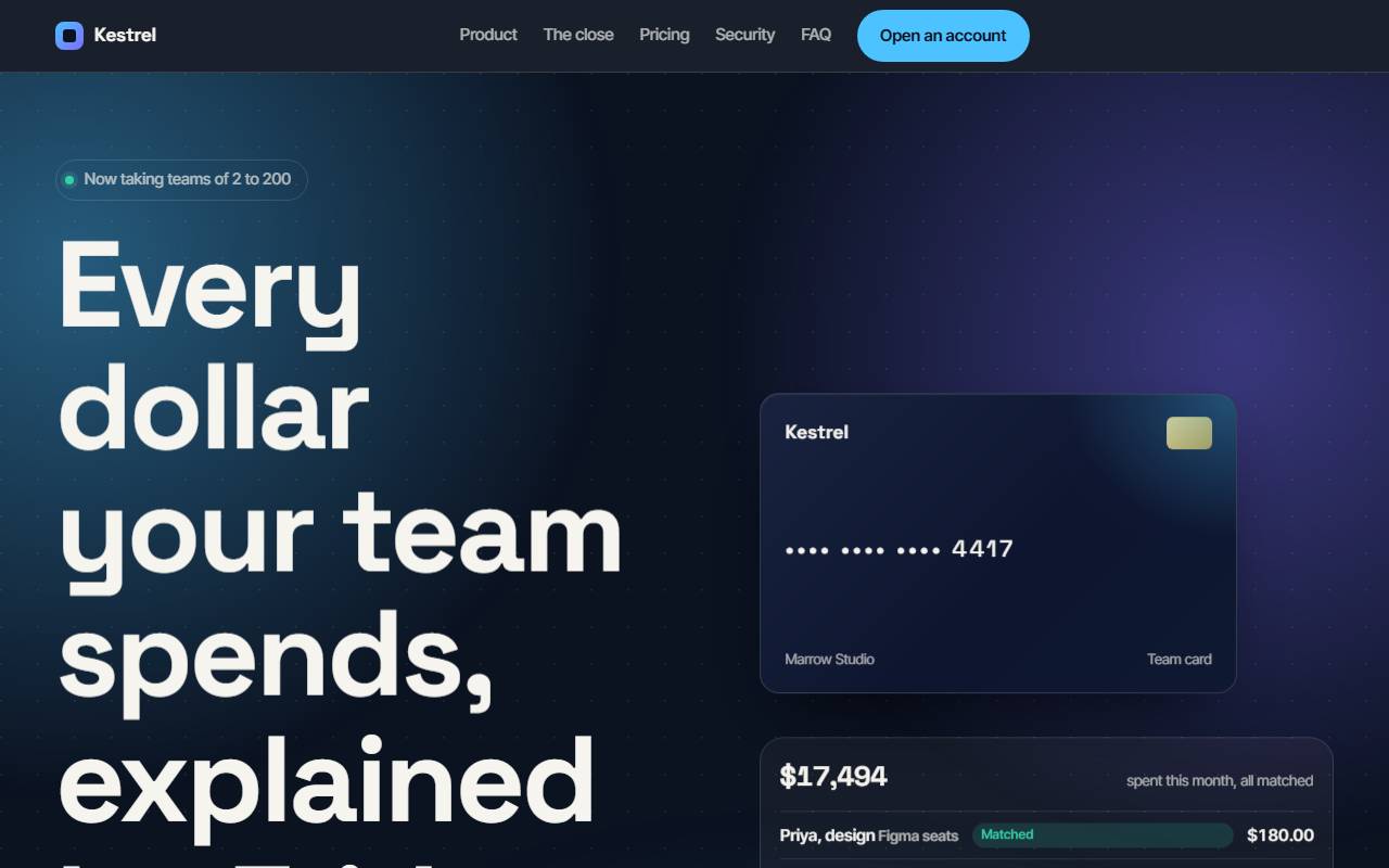 Homepage of Kestrel Ledger, a demo fintech startup website